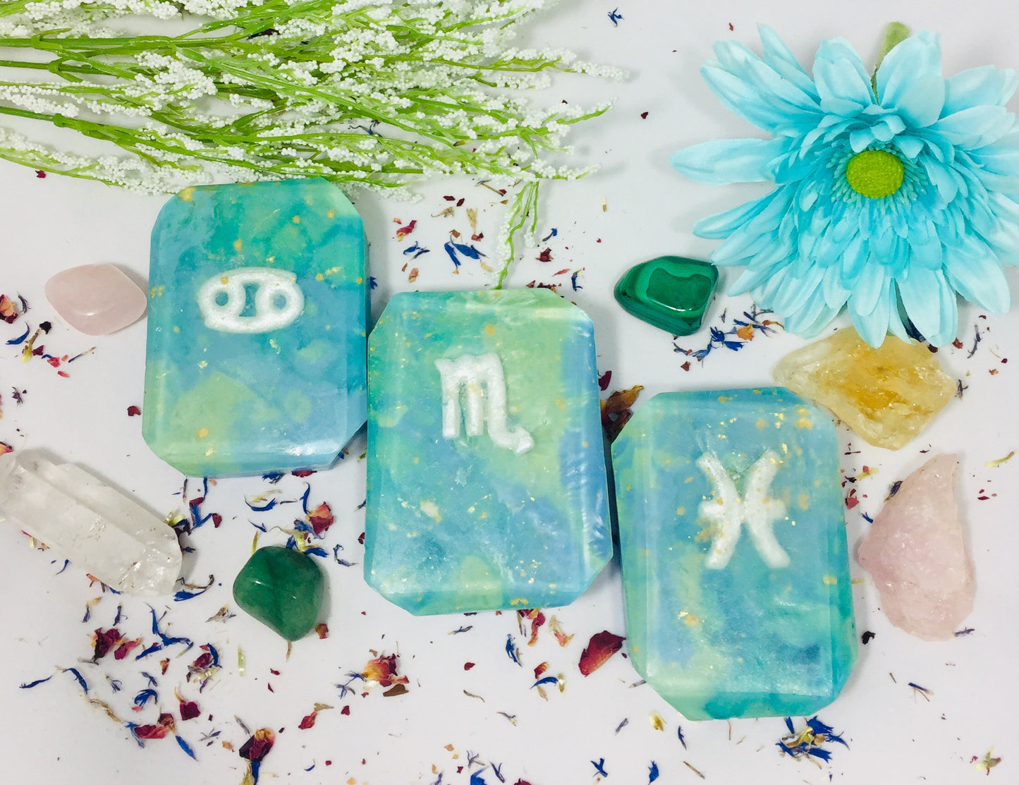 Water Signs Zodiac Body Bar